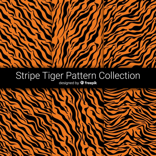 pattern,animal,animals,stripes,tiger,print,skin,stripe,animal print,wild,wildlife,beast,roar,tiger stripes,jaws,fiery,fierce,feline,howl,tiger print
