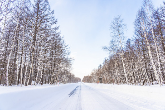 sapporo,hokkaido,season,day,beautiful,outdoor,cold,natural,ice,white,landscape,japan,forest,beauty,sky,road,mountain,nature,travel,snow,winter,car,tree,christmas