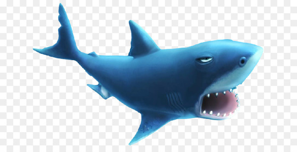 Free: Hungry Shark Evolution Hungry Shark World Great white shark