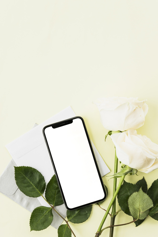 background,flower,floral,technology,leaf,floral background,beauty,rose,white background,digital,envelope,white,yellow,smartphone,roses,backdrop,yellow background,flower background,tech,background flower