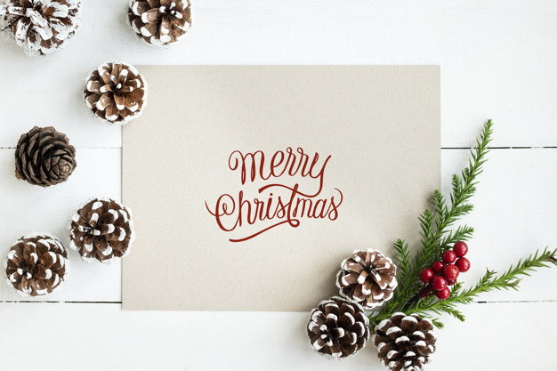 christmastime,copy space,copyspace,wishing,jolly,wording,snowy,copy,flatlay,plank,berries,decorations,greetings,pine cone,cone,greeting,christmas table,season,white christmas,seasons,festive,merry,holidays,wood sign,wood table,wooden,message,pine,decorative,floor,seasons greetings,natural,christmas decoration,happy holidays,white,sign,holiday,text,graphic,happy,celebration,space,typography,red,table,xmas,green,card,merry christmas,winter,christmas card,christmas,mockup