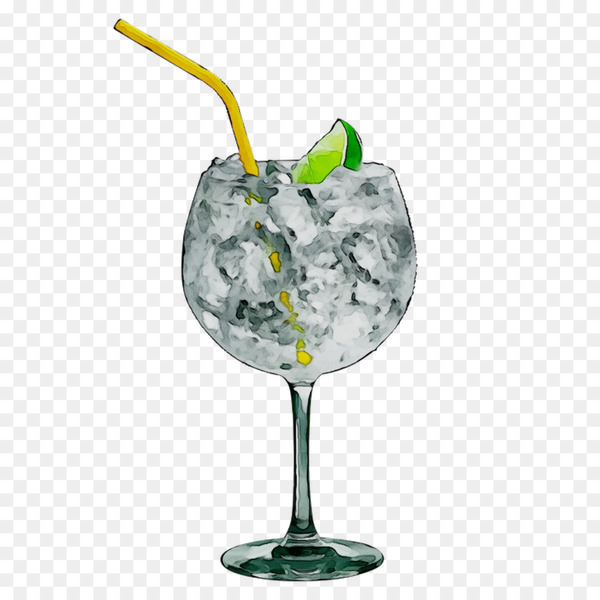 gin and tonic,vodka tonic,cocktail,gin,cocktail garnish,vodka,tonic water,glass,unbreakable,stemware,drink,wine glass,alcoholic beverage,distilled beverage,plant,drinkware,vodka and tonic,png