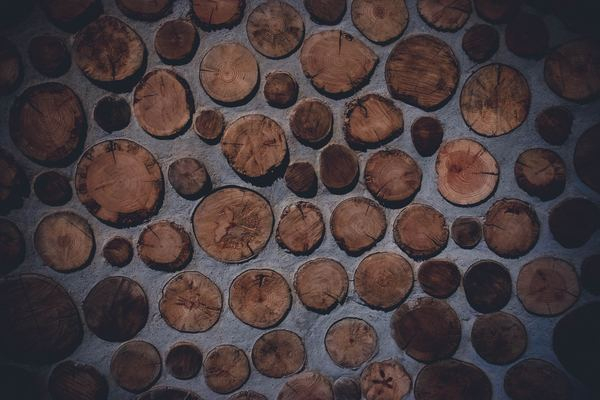 life,snow,wild,log,brown,wood,outdoor,cloud,reflection,house,cement,brown,venice,biennale,art,architecture,wall,log,wood,free stock photos