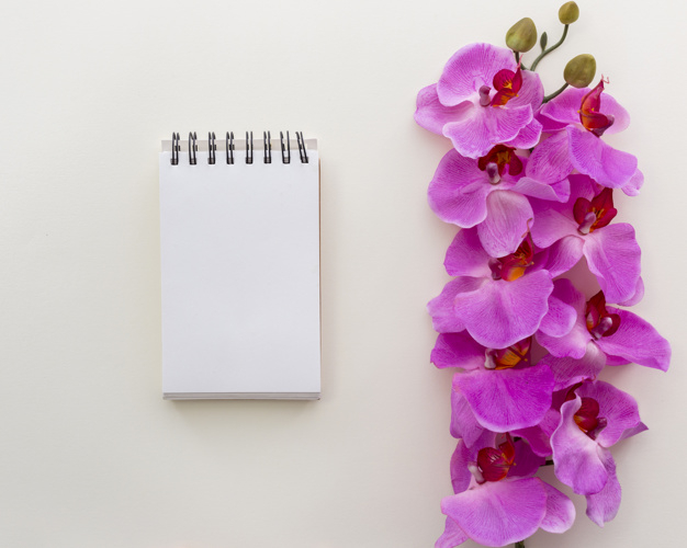 dcor,fragility,softness,freshness,botany,isolated,empty,blank,petal,soft,sheet,flora,beautiful,blossom,botanical,write,notepad,fresh,orchid,message,spiral,decorative,document,natural,elegant,note,backdrop,notebook,white,beauty,pink,nature,paper,template,book,flowers,floral,flower,pattern,background