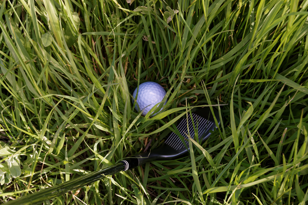 cc0,c1,golf,club,iron,wedge,rough,grass,sport,course,game,ball,leisure,recreation,equipment,golfing,golfer,outdoor,shot,exercise,hobby,playing,free photos,royalty free
