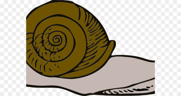 snail,escargot,computer icons,slug,gastropod shell,gastropods,desktop wallpaper,email,molluscs,snails and slugs,sea snail,lymnaeidae,invertebrate,spiral,png