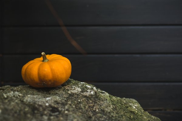  autumn,harvest,pumpkin, fall decoration