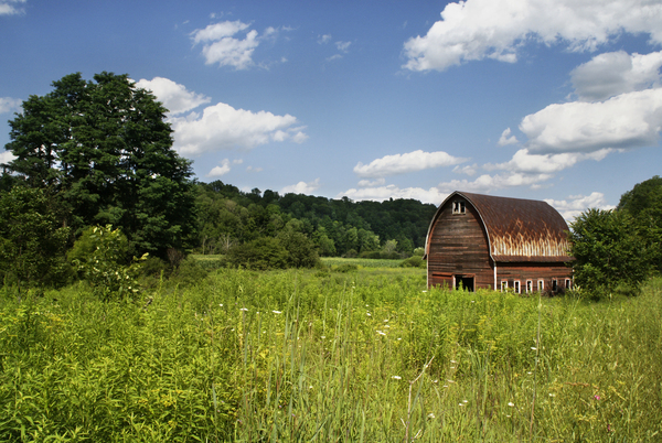 barn,farm,country,fields,grass,trees,nature,sky,clouds