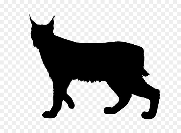 ocelot,cat,lynxes,royaltyfree,stock photography,silhouette,depositphotos,mammal,vertebrate,small to mediumsized cats,felidae,black cat,black,carnivore,tail,whiskers,domestic shorthaired cat,snout,blackandwhite,bombay,png