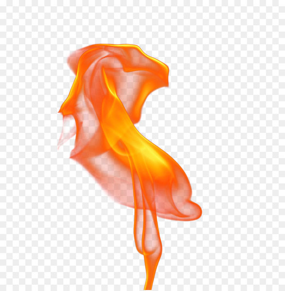 light,flame,combustion,fire,download,spot beam,color,silk,fish,orange,petal,peach,png