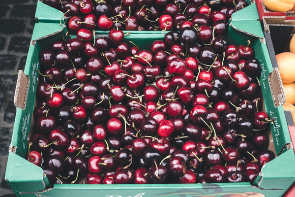 cherries,farmers market,fresh,fruit,healthy,outside,red,summer