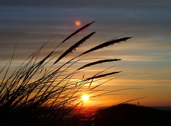 dawn,dusk,grass,nature,silhouette,sky,sun,sunrise,sunset,Free Stock Photo