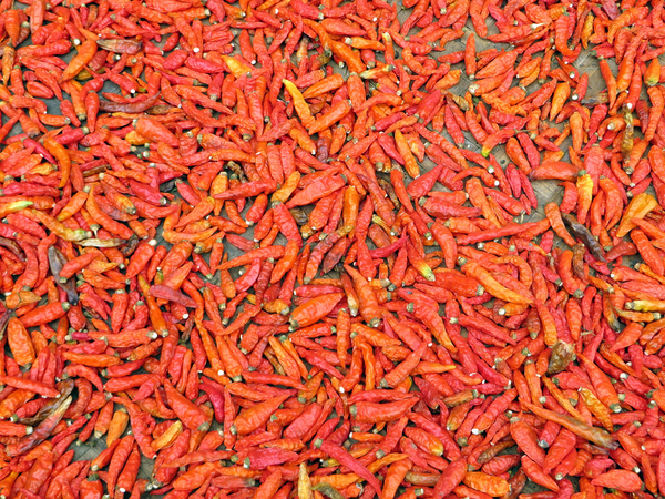 cc0,c1,laos,chili pepper,red pepper,spices,power,food,oriental,free photos,royalty free