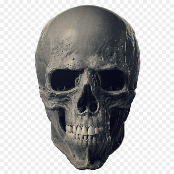skull,animal skulls,bone,human skeleton,skeleton,human head,desktop wallpaper,head,axial skeleton,appendicular skeleton,joint,anatomy,crystal skull,jaw,png