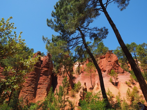 trees,scenic,sandstone,rocky,outdoors,nature,landscape