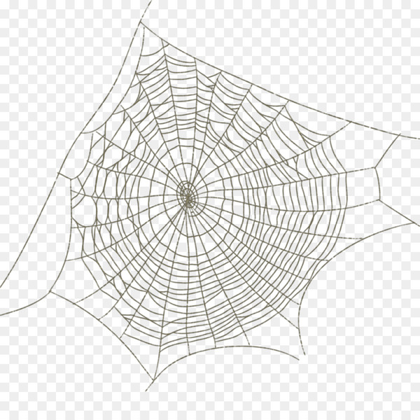 spider,spider web,drawing,shape,black and white,data,angle,symmetry,area,monochrome photography,square,point,line,invertebrate,monochrome,white,circle,structure,png