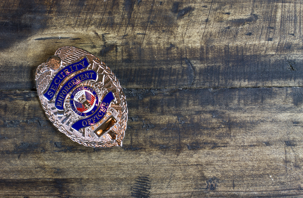 cc0,c1,badge,security,safety,uniform,shield,symbol,protection,guard,corporate,free photos,royalty free