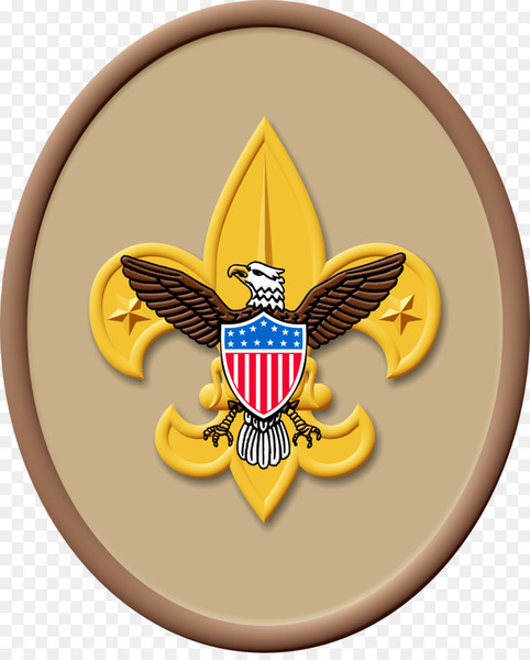 boy scouts of america,scouting,eagle scout,scout troop,merit badge,scouts day,scout law,scout promise,ranks in the boy scouts of america,cub scouting,cub scout,world scout emblem,emblem,crest,symbol,yellow,badge,wing,png