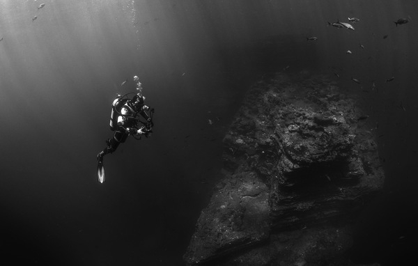 scuba diving,dive,bubbles,under water,rocks,oxygen,flippers,sea,fish,dark