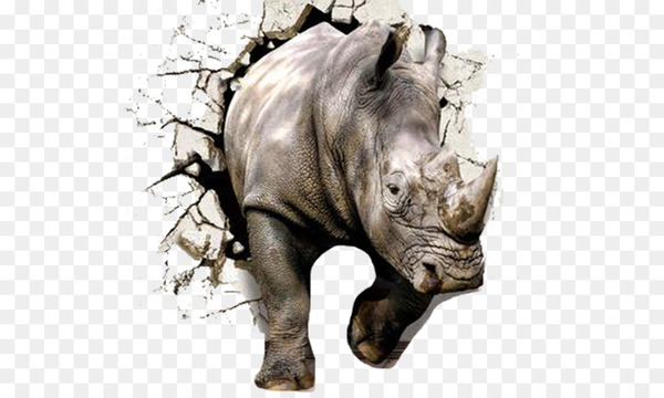 paper,rhinoceros,wall,mural,wall decal,decorative arts,rhinoceros 3d,art deco,nonwoven fabric,room,printing,snout,wildlife,horn,mammal,fauna,terrestrial animal,png