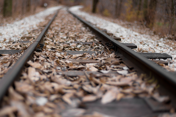 railway,railroad,perspective,leaves,gravel,dry leaves