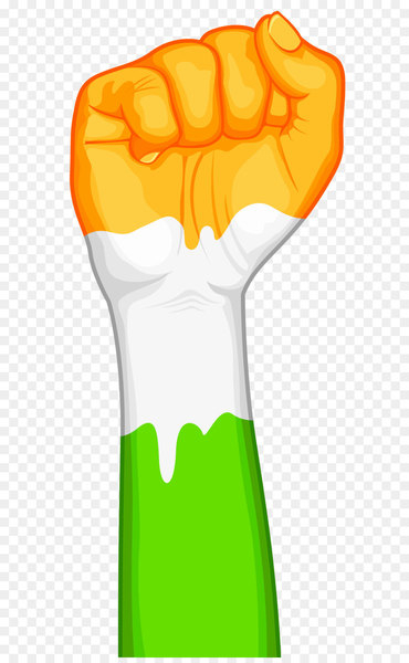 india,republic day,indian independence day,january 26,desktop wallpaper,flag of india,national day,highdefinition video,independence day,holiday,republic,constitution of india,constitution day,product,thumb,food,yellow,hand,joint,product design,produce,finger,graphics,orange,font,drinkware,clip art,png