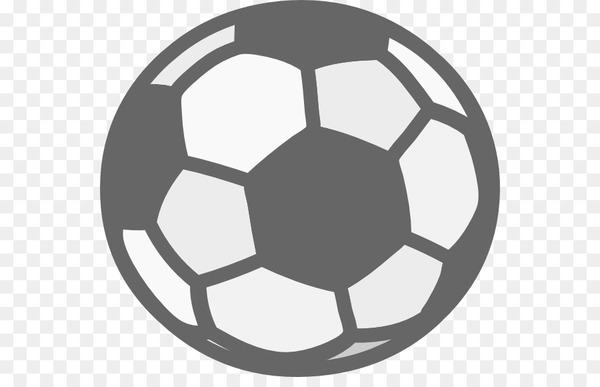 ball,football,football pitch,cricket balls,sport,volleyball,mitre sports international,rim,symbol,pallone,sphere,sports equipment,line,circle,black and white,png