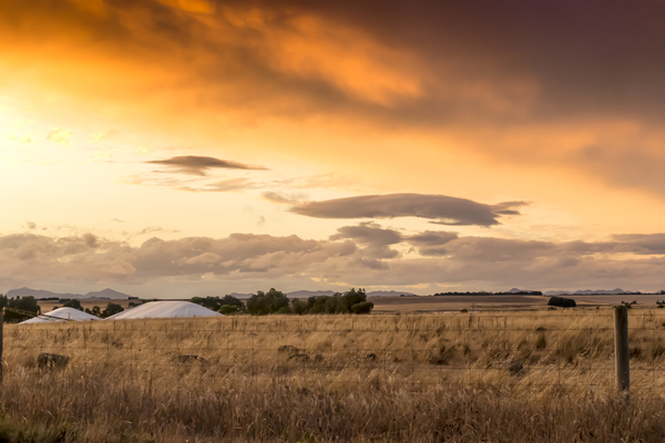 cc0,c1,agriculture,farm,farming,paddock,wheat,grain,australia,victoria,dramatic,sky,sunset,colour,color,summer,country,countryside,orange,yellow,field,land,clouds,outdoor,free photos,royalty free