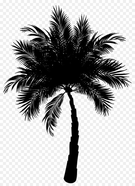 Palm Tree Silhouette Vector Art, Icons, and Graphics for Free Download