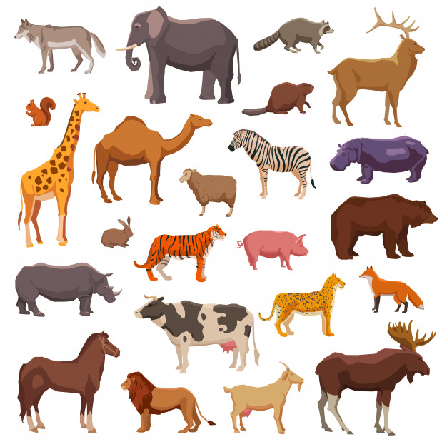 fauna,zoology,domestic,rhinoceros,boar,exotic,elk,big,raccoon,set,collection,wild,icon set,farm animals,squirrel,camel,safari,zebra,cute animals,giraffe,goat,zoo,symbol,decorative,emblem,fox,tiger,elements,jungle,rabbit,wolf,pig,elephant,cow,white,deer,horse,tropical,bear,animals,lion,icons,cute,forest,farm,cartoon,nature