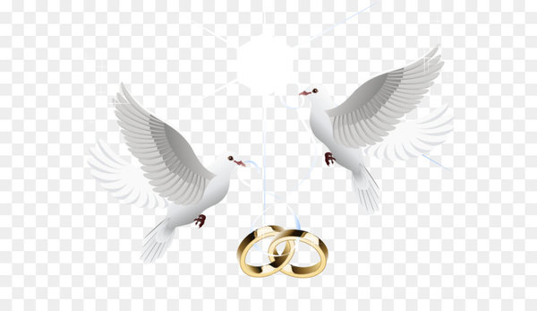Buy 33 Engagement Ring SVG Bundle,wedding Ring Svg,engagement Ring Clipart,engagement  Ring Dxf,engagement Ring Vector,engagement Ring Png Online in India - Etsy