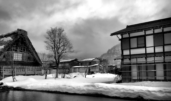 winter,snow,ice,houses,fog,buildings,black-and-white