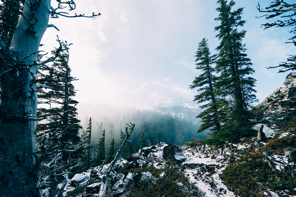 trees,forest,woods,mountains,sky,clouds,snow,hills,peaks,nature