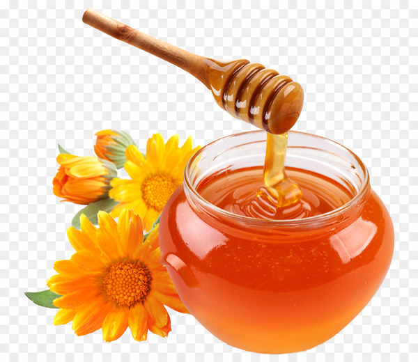 honey,honey bee,food,ingredient,monofloral honey,candy,sweetness,health,creamed honey,oil cleansing method,dessert,sugar,grocery store,oil,spread,flavor,png