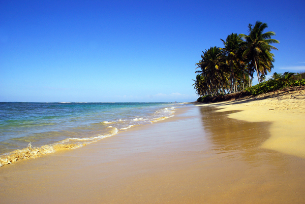 cc0,c1,ile,beach,tropics,sea,holiday,beautiful beach,caribbean,nature,travel,free photos,royalty free