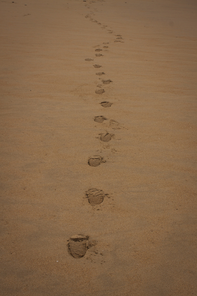 cc0,c1,beach,sand,footprint,winter,steps,free photos,royalty free