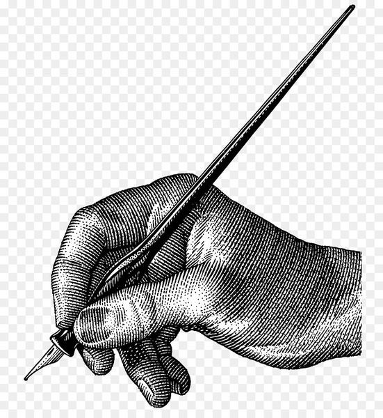pen,fountain pen,paper,dip pen,ink,drawing,omas,pencil,stationery,india ink,quill,fountain pen ink,ballpoint pen,pentel,black and white,hand,finger,arm,fish,organism,monochrome,thumb,reptile,monochrome photography,png