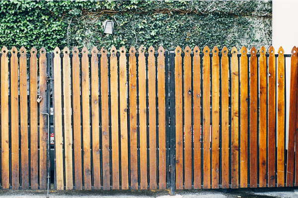 wood,fence,gate,lock,vines,leaves