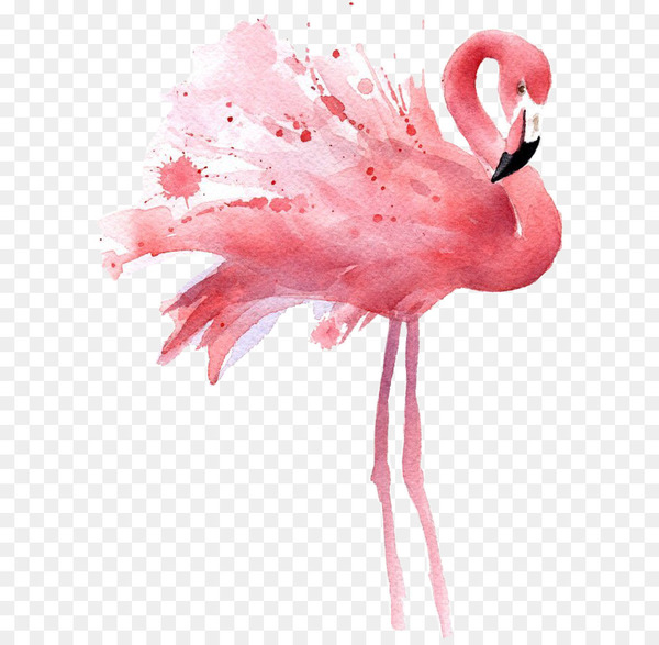 watercolor painting,flamingo,art,work of art,painting,drawing,canvas,printmaking,artist,printing,photography,paint,abstract art,pink,water bird,bird,vertebrate,petal,feather,flower,beak,png