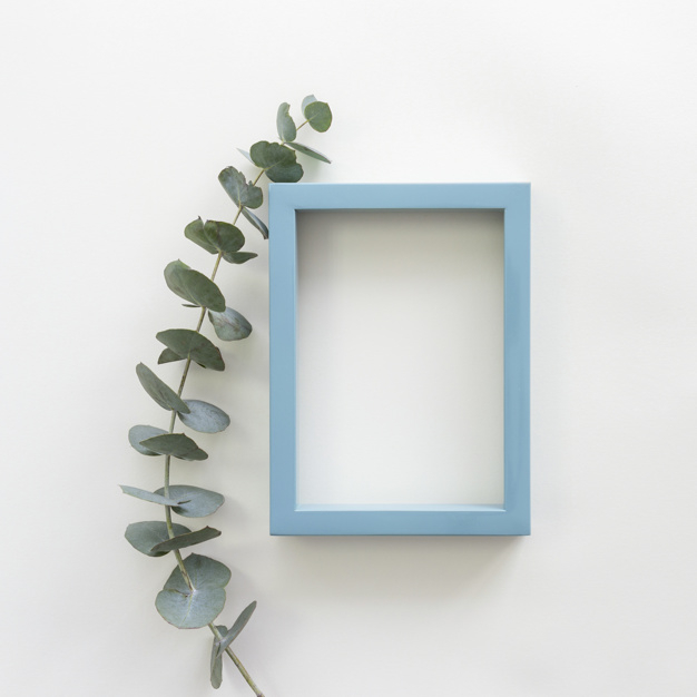 dcor,elevated,fragility,copyspace,nobody,overhead,pictureframe,still,curved,vibrant,twig,high,empty,photoframe,foliage,blank,object,top,decor,flora,bright,life,decorative,natural,desk,decoration,plant,backdrop,white,photo,leaves,wallpaper,blue,nature,green,leaf,border,floral,frame,background