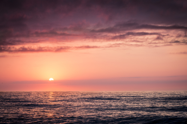 horizon,nature,ocean,salt water,sea,seawater,sunrise,sunset,water,Free Stock Photo