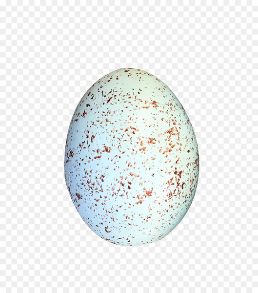 bird eggs,egg,download,encapsulated postscript,gratis,rgb color model,data compression,sphere,circle,png
