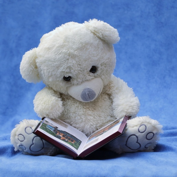 baby,book,child,cuddly,fur,furry,innocence,magazine,paws,plush,read,reading,sit,stuffed toy,teddy,teddy bear,toy,white,Free Stock Photo