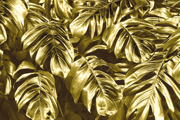 Holden Metallic Feather Pattern Wallpaper Leaf Motif Modern Textured  Exclusive 50082 - Black Gold | I Want Wallpaper