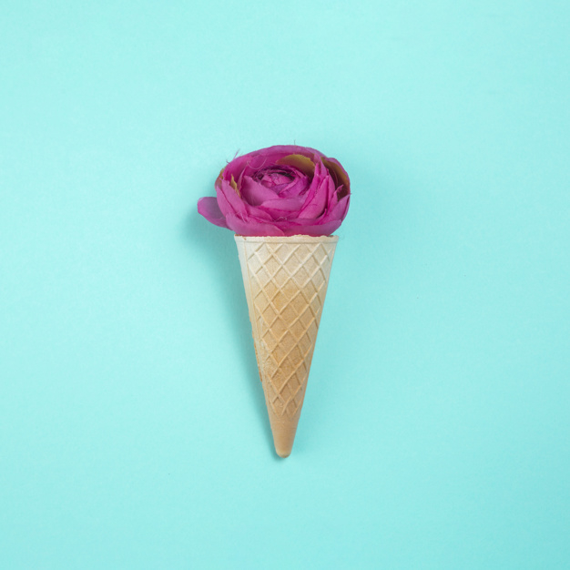 waffle cone,square format,overhead,arrangement,format,little,wafer,bud,composition,surface,bloom,cone,petal,object,waffle,top view,top,decor,bright,beautiful,view,blossom,fresh,simple,minimal,romantic,head,natural,organic,desk,creative,decoration,plant,square,holiday,colorful,spring,rose,pink,table,blue,light,blue background,design,floral,flower,background