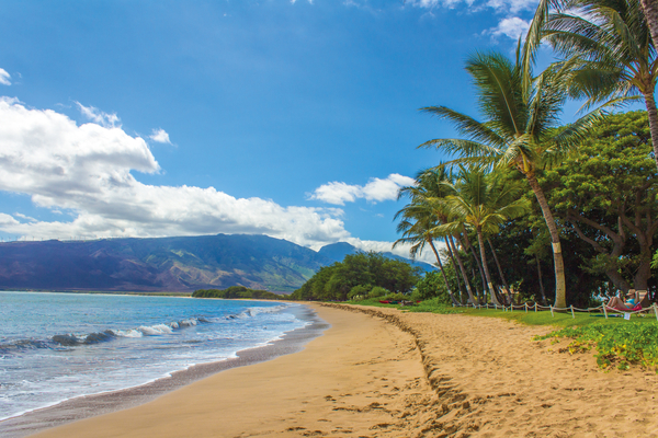 cc0,c4,beach,landscape,hawaii,maui,kihei,sand,palms,mountains,sea,free photos,royalty free