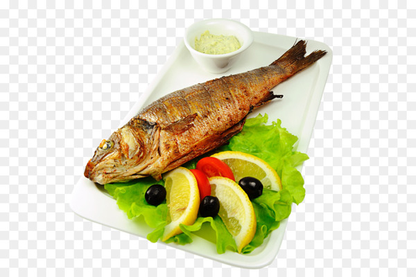 shashlik,barbecue grill,cafe,mangal,european bass,pork,gilthead bream,dish,fish,tandoor,atlantic salmon,steak,grilling,delivery,restaurant,fried fish,animal source foods,food,fish products,recipe,smoked fish,garnish,seafood,fish fry,png