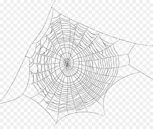 spider web,spider,spider silk,world wide web,data,net,download,drawing,triangle,angle,symmetry,area,monochrome photography,square,point,line,invertebrate,black,black and white,monochrome,white,circle,structure,png