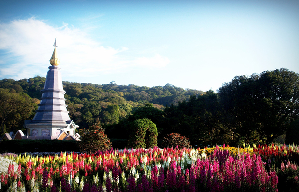 cc0,c1,ancient,architecture,art,asia,background,beautiful,beauty,blue,buddha,buddhism,buddhist,building,chiangmai,construction,culture,day,design,doi,east,flower,green,high,history,landscape,mountain,national,nature,old,pagoda,park,queen,religion,religious,sky,space,stupa,temple,thai,thailand,tourism,tourist,tower,traditional,travel,vacation,wallpaper,water,free photos,royalty free