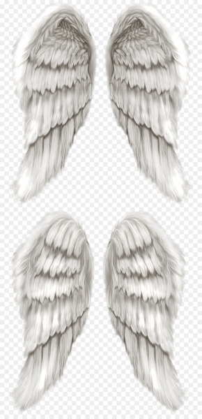 cherub,angel,wing,photography,that good,stock photography,drawing,feather,rope,black and white,png